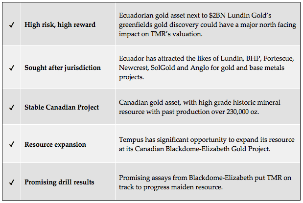 Tempus Resources - Why we have invested