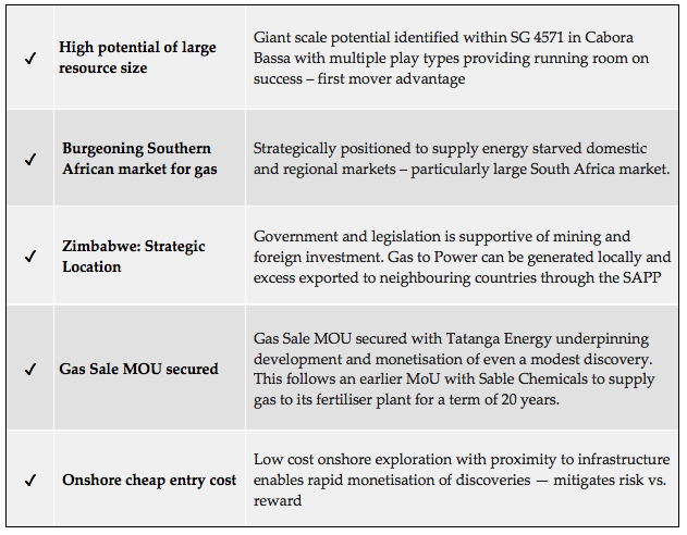Invictus Energy - Why we have invested